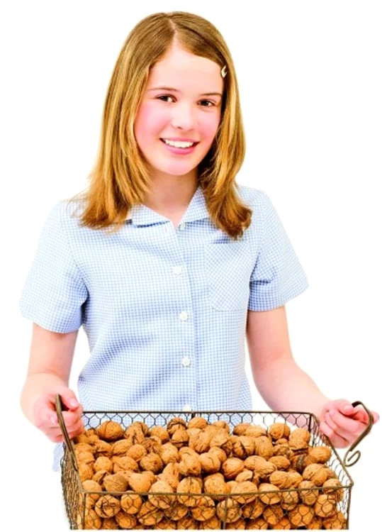1 2 jpg jpeg