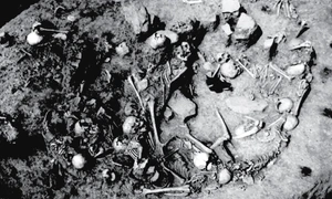 masacru serbia 2800 science jpg