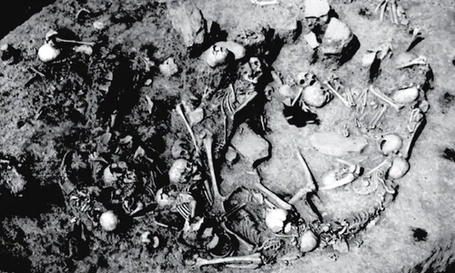 masacru serbia 2800 science jpg