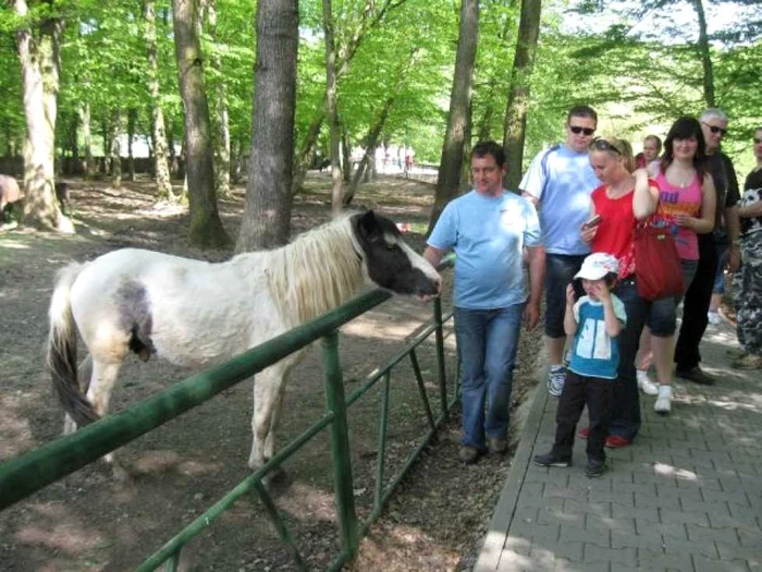 Platoul Cornești de ieri și de azi, în imagini