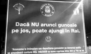 Cu ochii n 3,14 jpeg