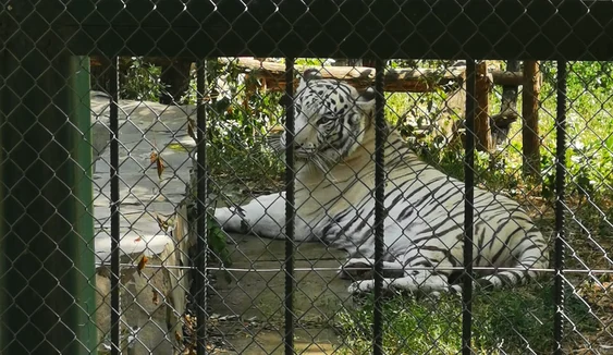 Grădina Zoologică din Bîrlad
