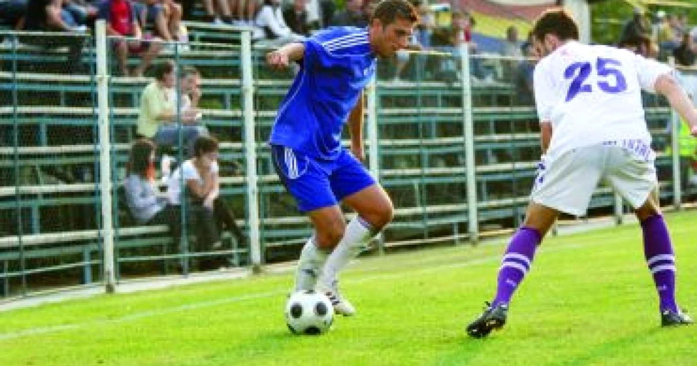 Slatina: Fraţii Niculescu se luptă cu tatăl lor pentru promovare