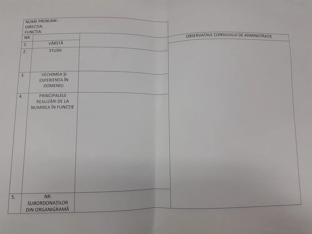 Cei Consiliul de Administrație al CNAIR i-au pus pe angajați să completeze acest tabel, în speranța că-i va ajuta să schimbe organigrama