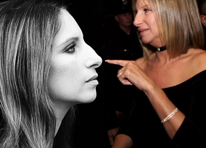 
    Barbra Streisand  