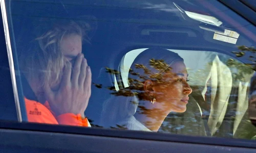 1 profimedia 0390765142 jpg jpeg