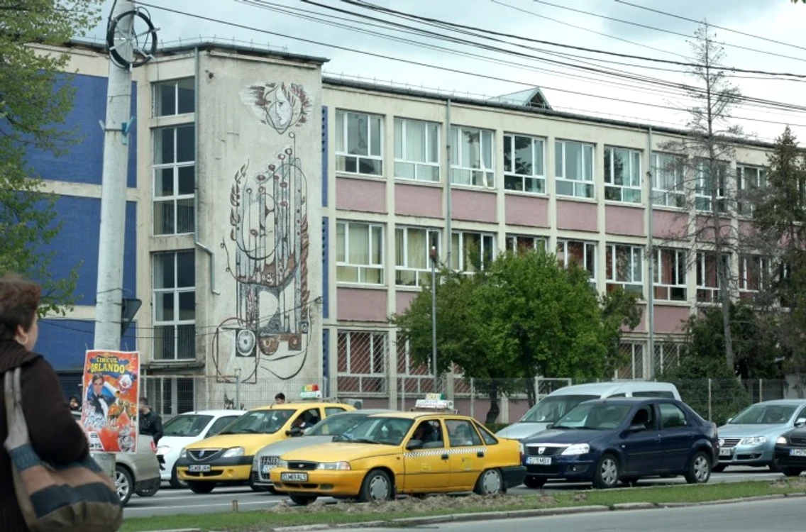 
    Elevul învăța la Liceul de Arte „Marin Sorescu” din Craiovafoto: gds.ro  