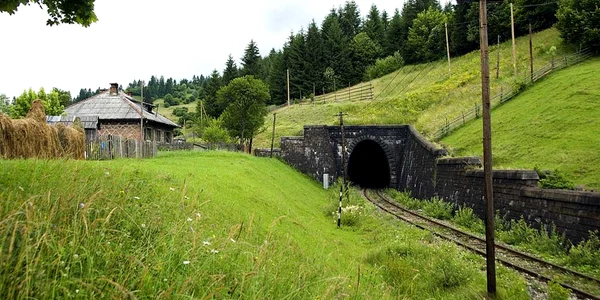 Tunelul Maramures Foto Wikipedia Hans Peter Fuchs (2) jpg