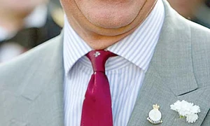 Prinţul Charles jpeg