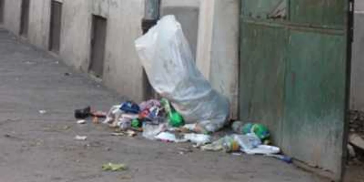 Deșeurile menajere din Oradea vor fi colectate de societatea RER Ecologic