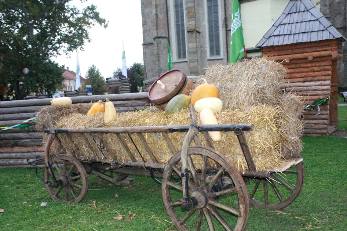 oktoberfest bistrita 1