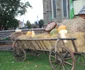oktoberfest bistrita 1