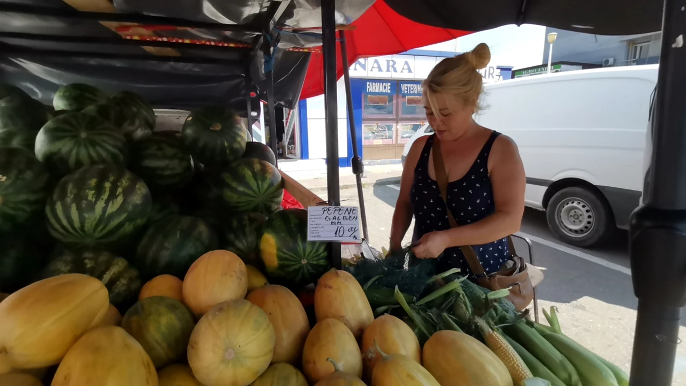 Pepeni de Dăbuleni, cumpărați de la producători și aduși în piață FOTO: A.M.
