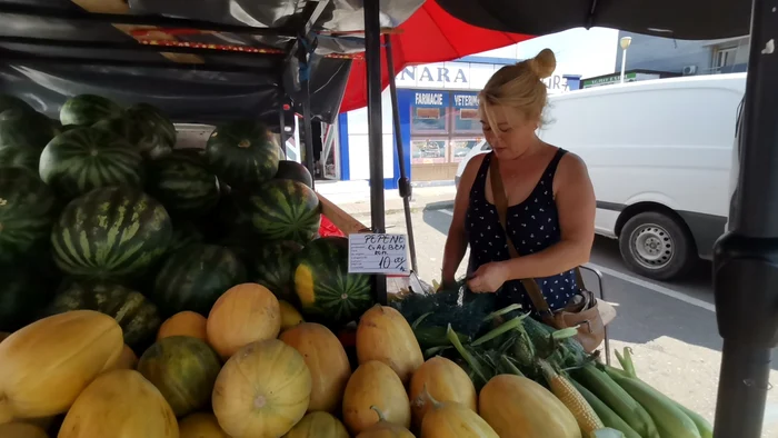 Pepeni de Dăbuleni, cumpărați de la producători și aduși în piață FOTO: A.M.