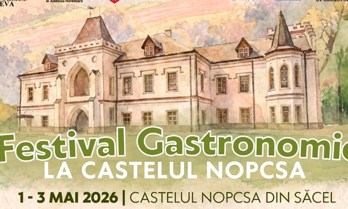 festival jpg