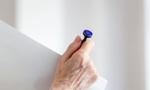 Alegerile în Timișoara. FOTO Inquam Photos / Cornel Putan