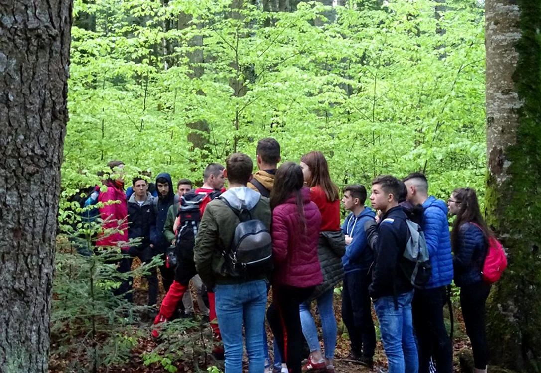 
    Elevii din Vaslui  se aflau într-o  excursie organizată cu școala  
