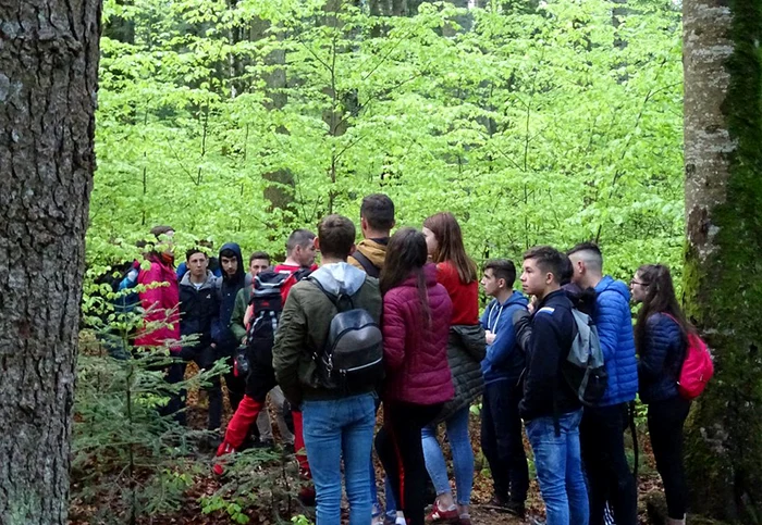 Elevii din Vaslui se aflau într-o excursie organizată cu școala