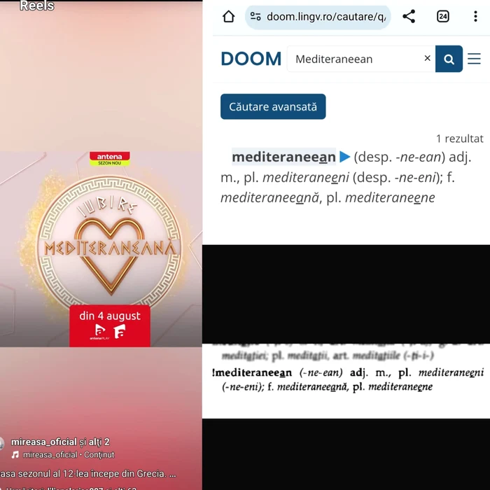 Greșeala a fost semnalată de grupul Viperele Vesele