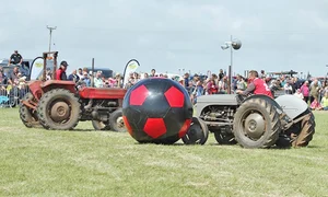 24 foto 4 2 col profimedia 0465520038 jpeg