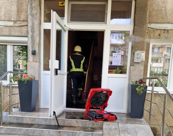 Pompierii au prevenit extinderea flăcărilor. FOTO ISU Bihor