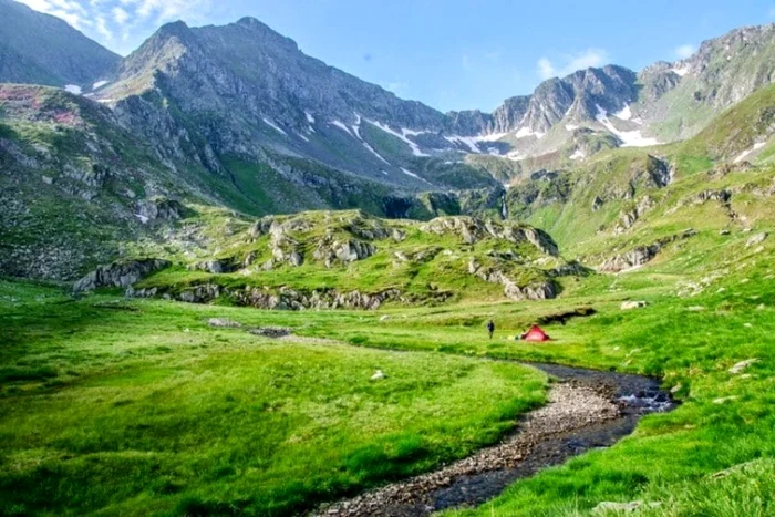 Golul alpin Moldoveanu - Capra Foto Facebook Aurica Săndulache