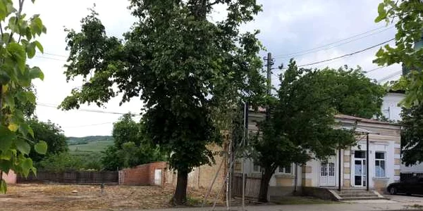 casa husi