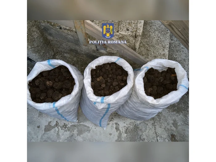 Valoarea trufelor a fost estimată la peste 13.000 de euro FOTO Poliția Română