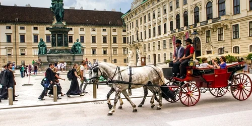 viena foto pixabay jpg