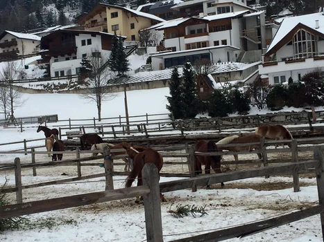 Adi Sina Anca Serea vacanta schi Austria (1) jpeg