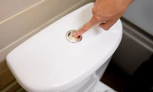shutterstock 2434548859 jpg