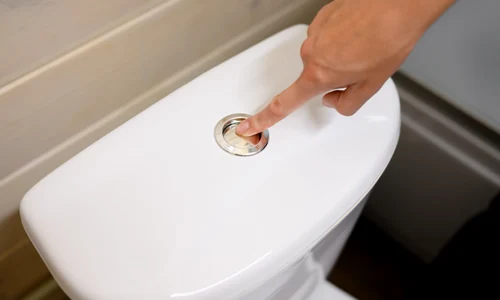 shutterstock 2434548859 jpg