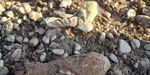 bomba artizanala bihor online jpg
