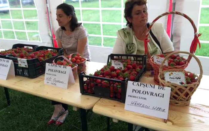 Producătorii au venit cu cele mai frumoase căpşuni
