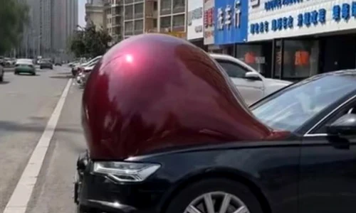 masini gravide china jpg