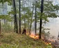 Incendiu de vegetație Foto ISUMehedinti (2) jpg