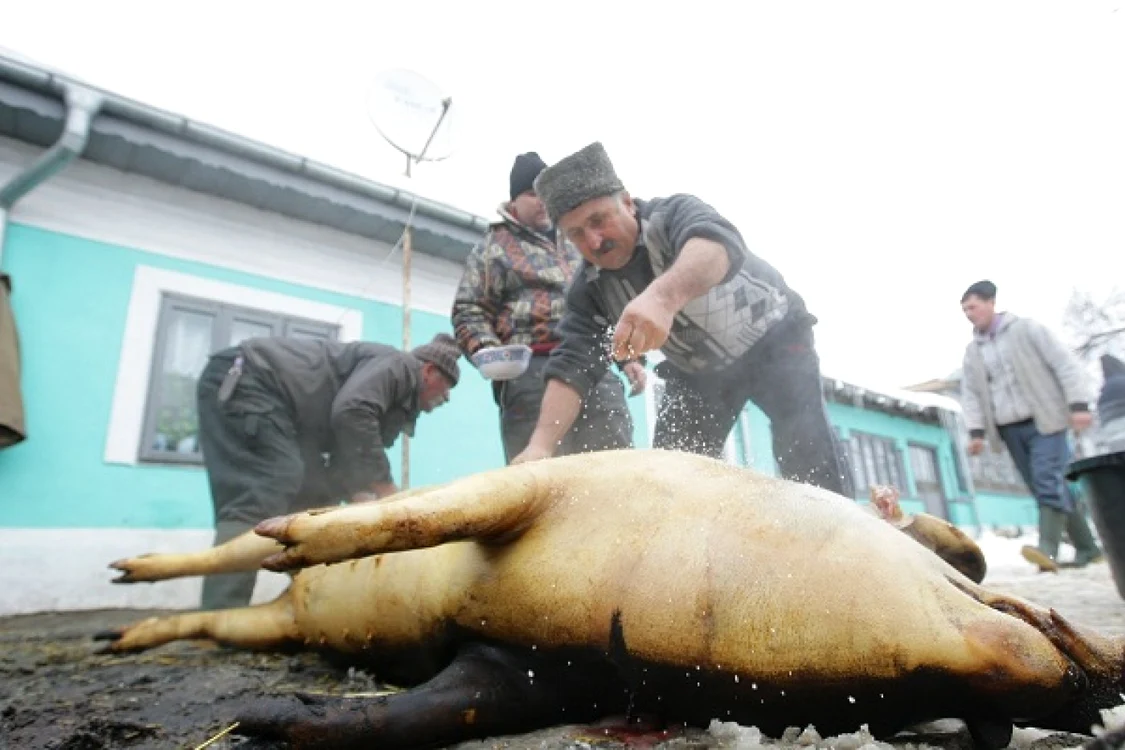 Numărul de cazuri pozitive este cel mai mare din ultimii ani în Prahova. FOTO: Adevărul