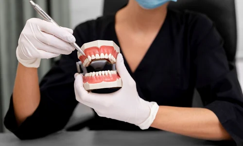 femeie prezinta un mulaj dentar ridere png