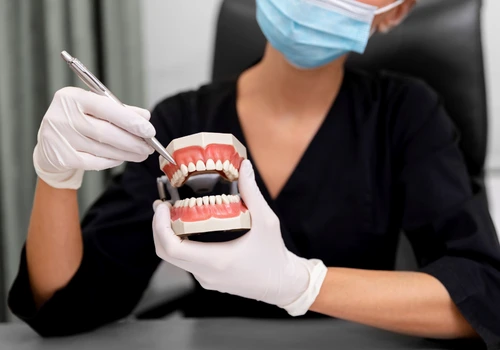 femeie prezinta un mulaj dentar ridere png