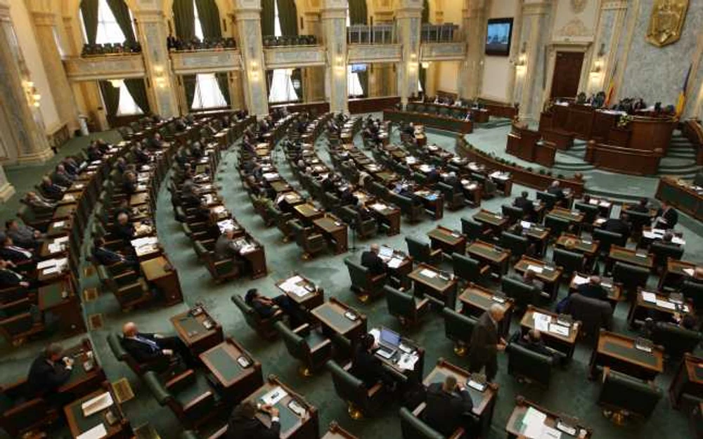 Aleşii locali ar putea fi suspendaţi din funcţie dacă au ordine de protecţie emise pe numele lor. Proiectul a fost depus la Senat