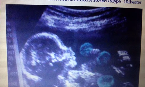 1471965 496760100423261 1565913184 n jpeg