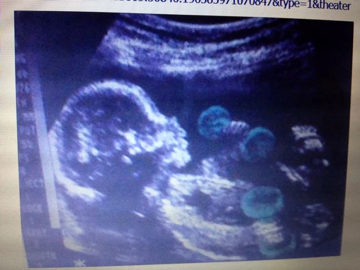 1471965 496760100423261 1565913184 n jpeg