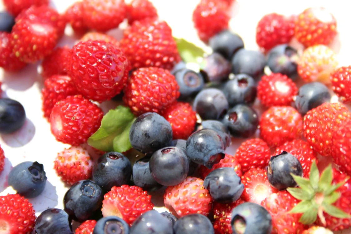 Wild strawberries and bilberries jpeg