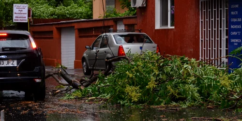 furtuna bucuresti foto adevarul