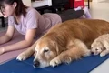 caine yoga instagram jpg