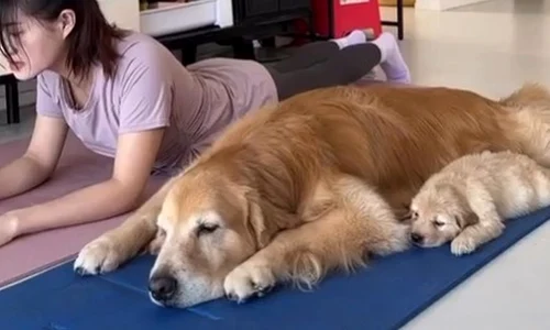 caine yoga instagram jpg