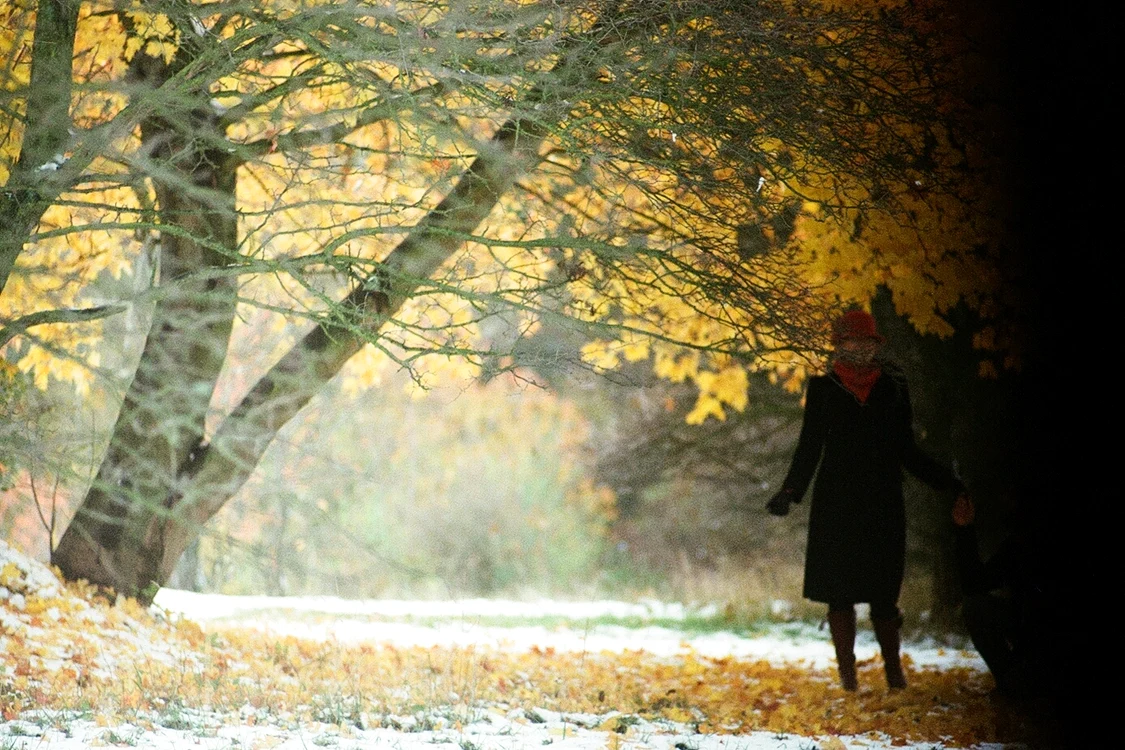 Foto: flickr