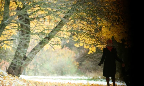 11642099644 1a9d5559e6 o jpg