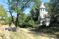 lindenfeld1 jpeg