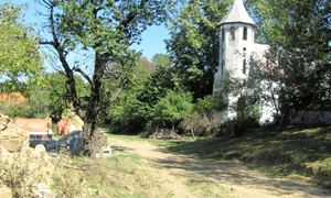 lindenfeld1 jpeg
